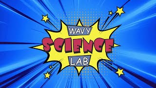About Those Bees | WAVY Science Lab