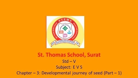 Std 5 # EVS # Developmental journey of seed # Part 1