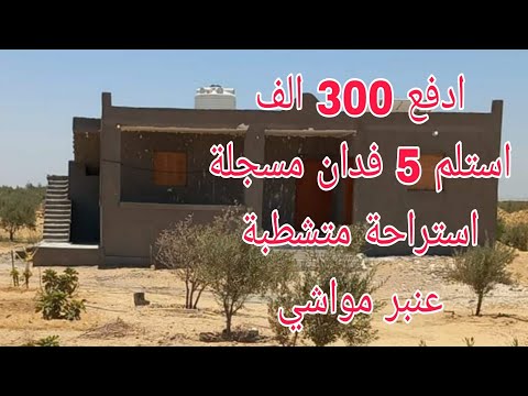 مزرعة 5 فدان للبيع مسجلة نموذجية متكاملة زراعي استراحة متشطبة عنبر مواشي مزروعه