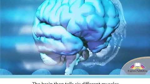 Action 10 module 9 p121 Body Talk video ver