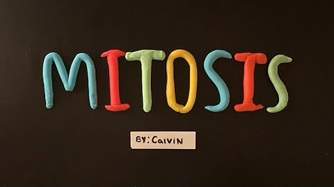 MITOSIS: Stop Motion Animation