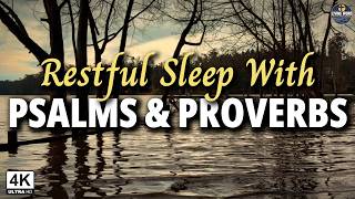 Sleep Listening to the Best Psalms and Proverbs | Audio Bible