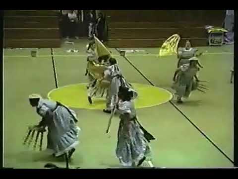1993 - Parfait (Hart County High School Winterguard) - Seven Brides for Seven Brothers