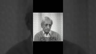 What am I to do in this violent world? | Krishnamurti #shorts