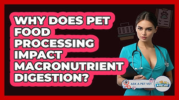 Why Does Pet Food Processing Impact Macronutrient Digestion? - Ask A Pet Vet