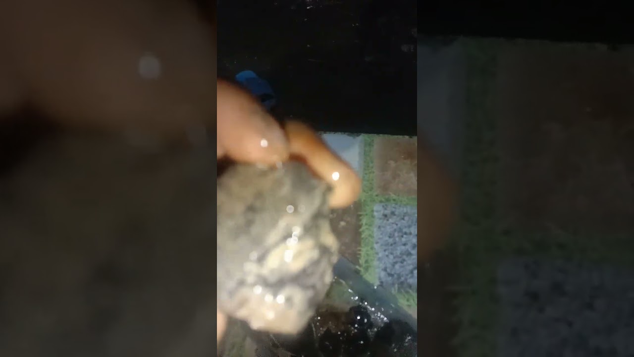 Hasil penggarangan black Opal