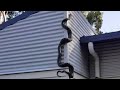 Australian man films 9-foot python on his house