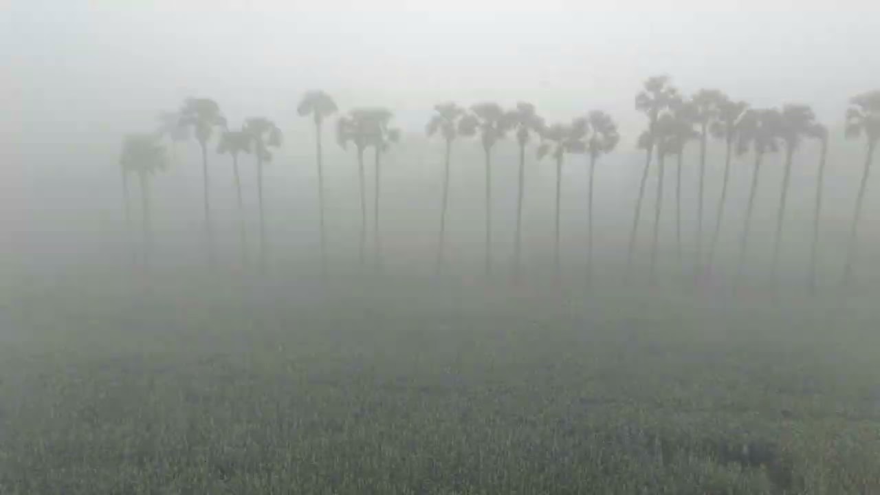Our Village Pothumarru Engulfed in Fog- Drone Video.