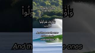 Surah.AZ-Zumar(verse 18)/English Translationislamic islam islamicstatus islamicshorts