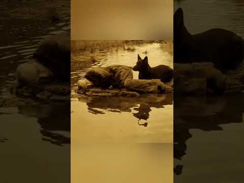 Andrei Tarkovsky || Mankind exists in order to create works of art.