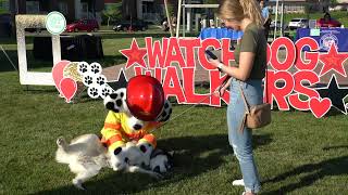 Watch Dog Walkers Promo - May 2024