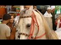 الشيخ احمد عكاشه شيخ أشرف عكاشه في ساحة عمي ابو المعاطي الليلة الختامية