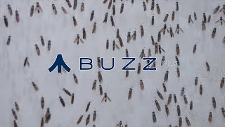 Institucional Buzz Fly