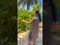 Aaj kitne sare Swarna Champa Hume mili hai #flowers #garden #shorts