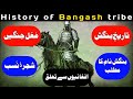 History of bangash   bangash tribe feamous pashtun history in urduhindi  muhammad asif official