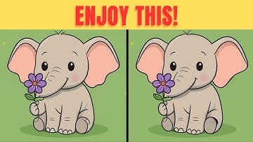 Can You Find | Spot the difference | Puzzle games | Find the difference | #777