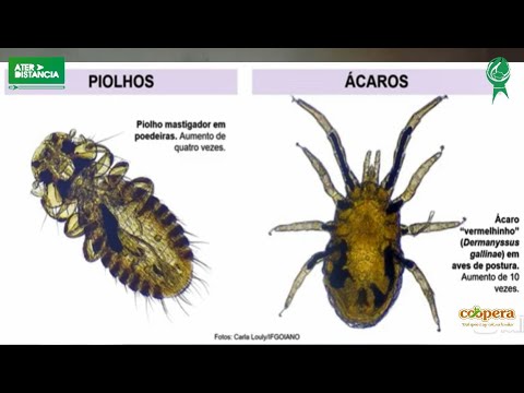 Vídeo: Como proteger seus olhos ao usar um computador