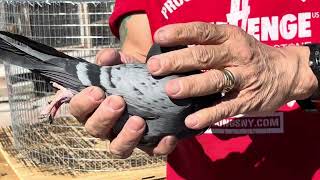 : Testing my new cage