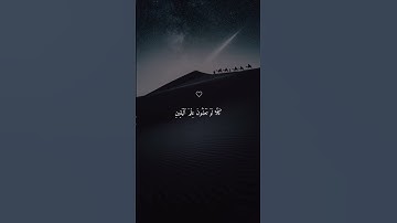 سورة التكاثر 💙 #حالات_دينية #قرآن #حالات_واتس #حالات_واتساب #حالات