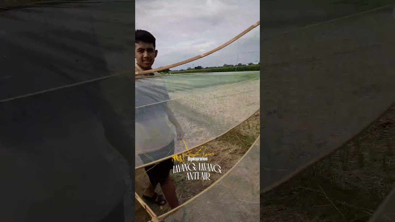 Terbangkan layang layang Anti air