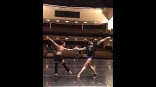 Montgomery & Sampaio A