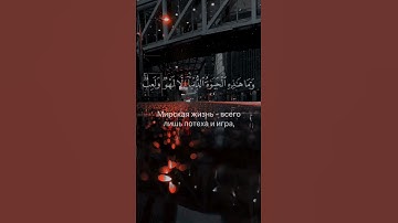 {وَمَا هَٰذِهِ الْحَيَاةُ الدُّنْيَا إِلَّا لَهْوٌ وَلَعِبٌ} سورة العنكبوت آية 64
