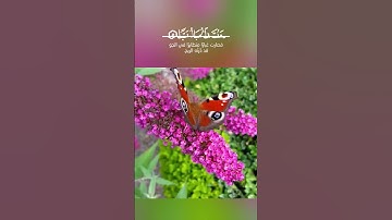 #سورة_الواقعة #جماااااااااال_الصوت #إسلام_صبحي