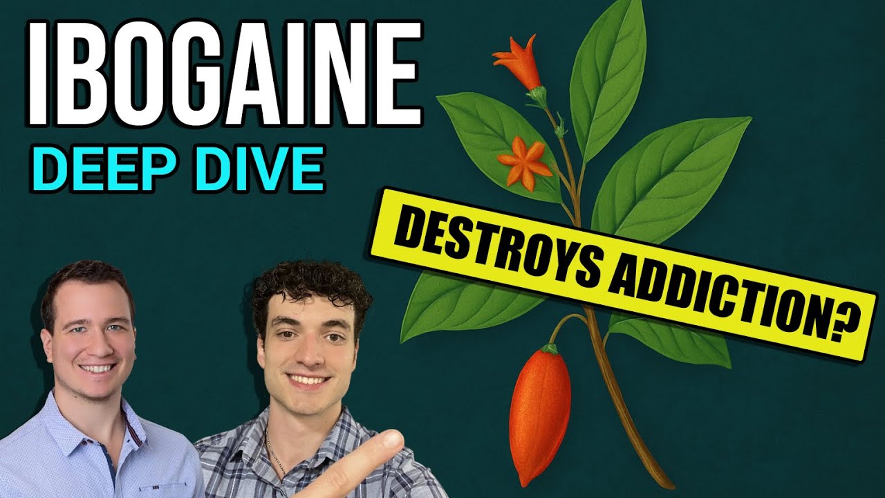 Ibogaine Explained: Science, Benefits, & Dangers of Iboga
