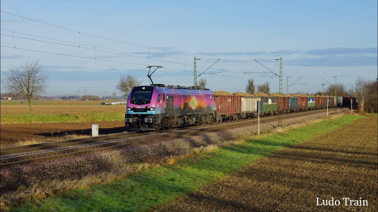Trains dans le Rheintal - 16.01.26