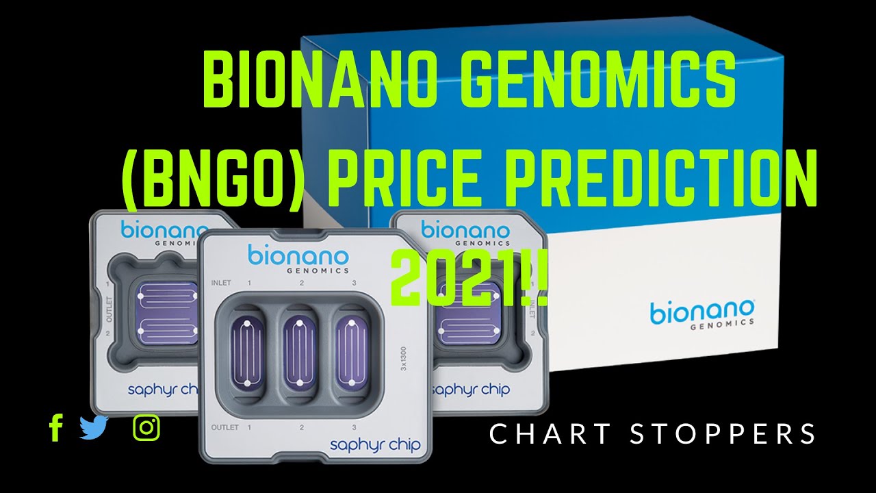 Bngo stock price