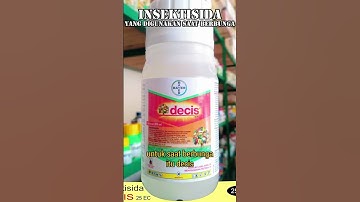 Gunakan insektisida berbahan aktif seperti decis saat menyemprot bunga alpukat #decis #alpukat