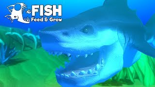 อัพเดท!! กำเนิดใหม่!! โครตฉลามคลั่ง!! | Fish Feed and Grow #30