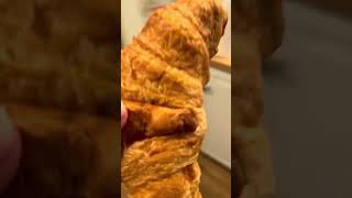 Costco Croissants The Most Important Hack Of Our Generation