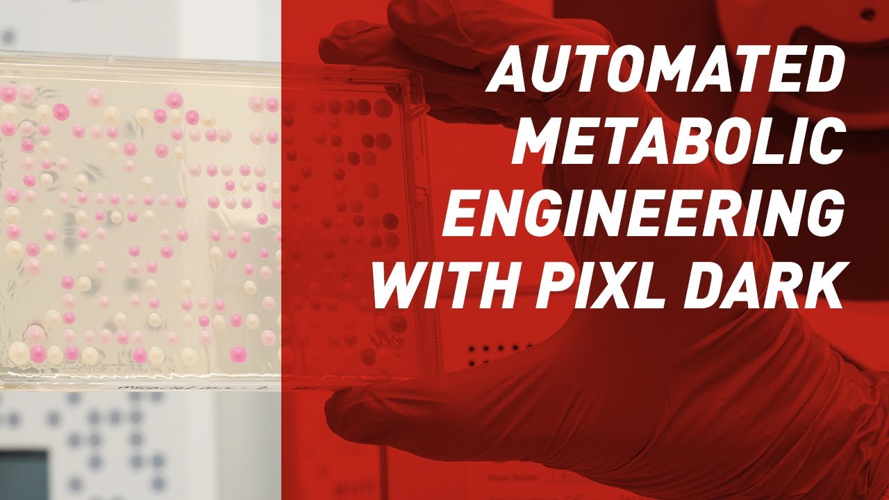 Singer Instruments Pixl Metabolic engineering automated with PIXL Dark- Singer Instruments ...