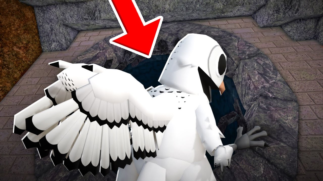 The Owl is MISSING in 99 Nights in the Forest