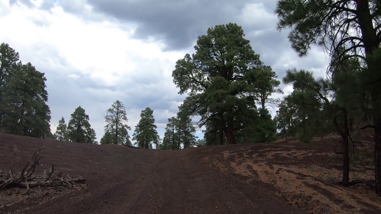 cinders flagstaff cinders flagstaff