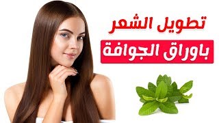 وصفات وخلطات اوراق الجوافة لتطويل الشعر وتنعيمه