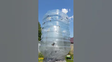 самодельная ловушка для слепней и оводов