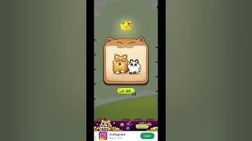 Cat Sort 171~175 #puzzle_daddy