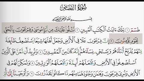 (28) سورة القصص | شيخ الزين محمد احمد