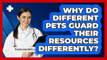 Why Do Different Pets Guard Their Resources Differently? - PetGuide360.com