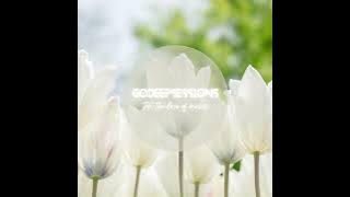 Fatso 98 & Deep Essentials - Haibo Vsop Remix