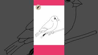 How to Draw a Goldfinch 🌻🐦  Easy Step by Step Bird Drawing for Kids! #lidoartworks