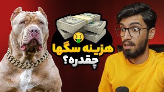 هزینه نگهداری از سگ ها در ماه چقدره؟ 🔥 چرا اینقدر زیاد شد اخه؟ by REXERAM 2,632 views 5 months ago 10 minutes, 41 seconds