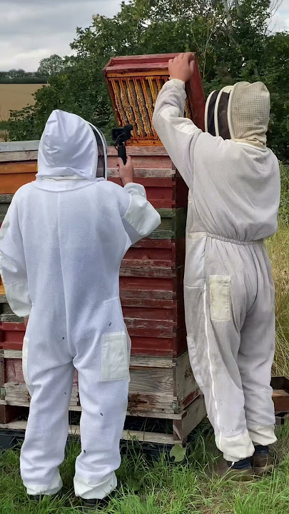 It’s official the Beekeeing video with Victor from V&L Honeymakers is going live on Sunday morning!!