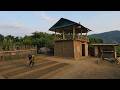 FULL VIDEO: 60 Days Building a Wooden Farm, Girl Leaves the City Living Alone in the Forest