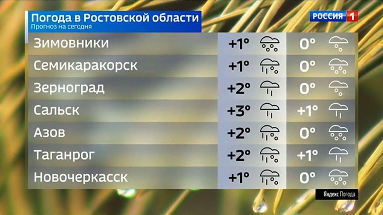 Прогноз погоды ростовская область п. Прогноз погоды в Ростовской области. Вести Дон погода Россия 1. Погода в Ростовской области на 3 дня.