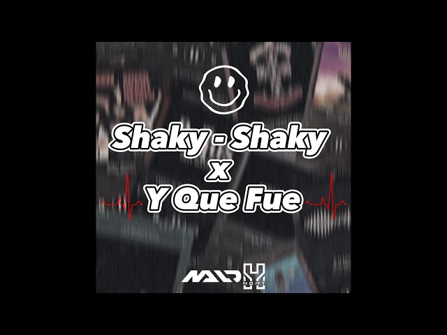 DJ SHAKY-SHAKY X Y QUE FUE BASS ENAK ( Naldhy NBRT ) class=
