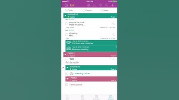 VigCal guide for iPhone: Change organizer style