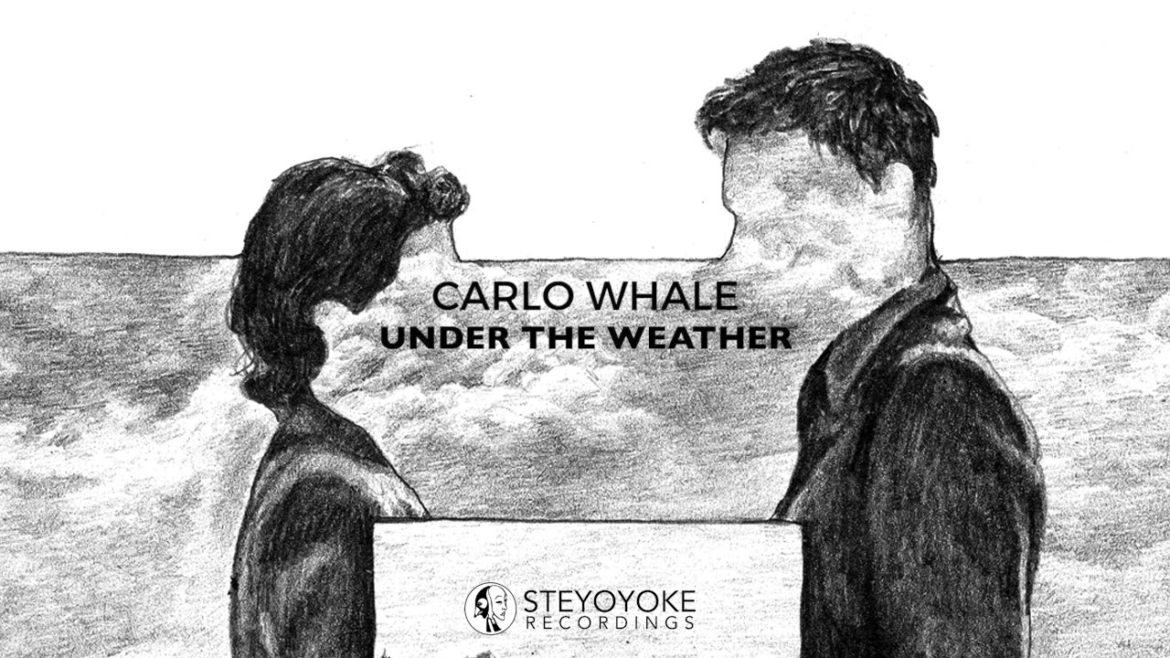 Carlo Whale - Under the Weather (Original Mix) | Steyoyoke